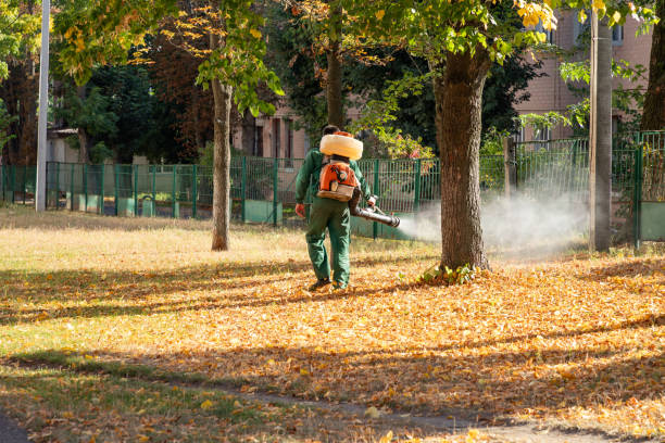 Best Rat Extermination Near Me  in Millbrook, NY